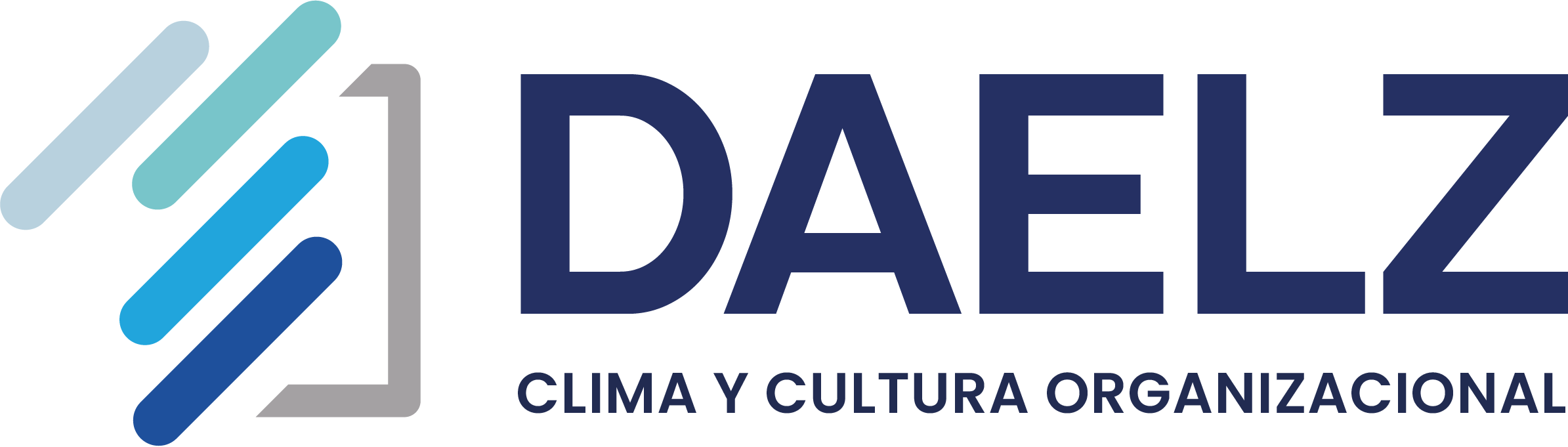 DAELZ Consulting